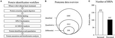 Comparative Proteomic Analysis of Flag Leaves Reveals New Insight into Wheat Heat Adaptation